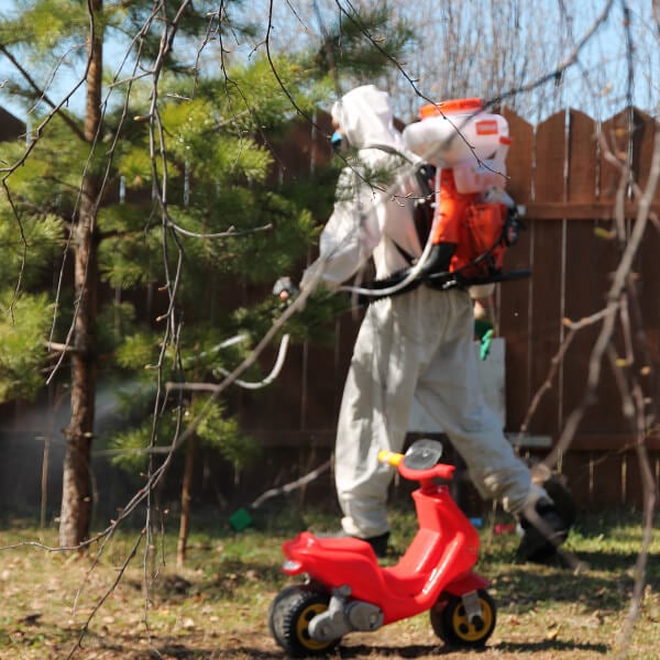 Обработка участка от клещей в Кызылорде?